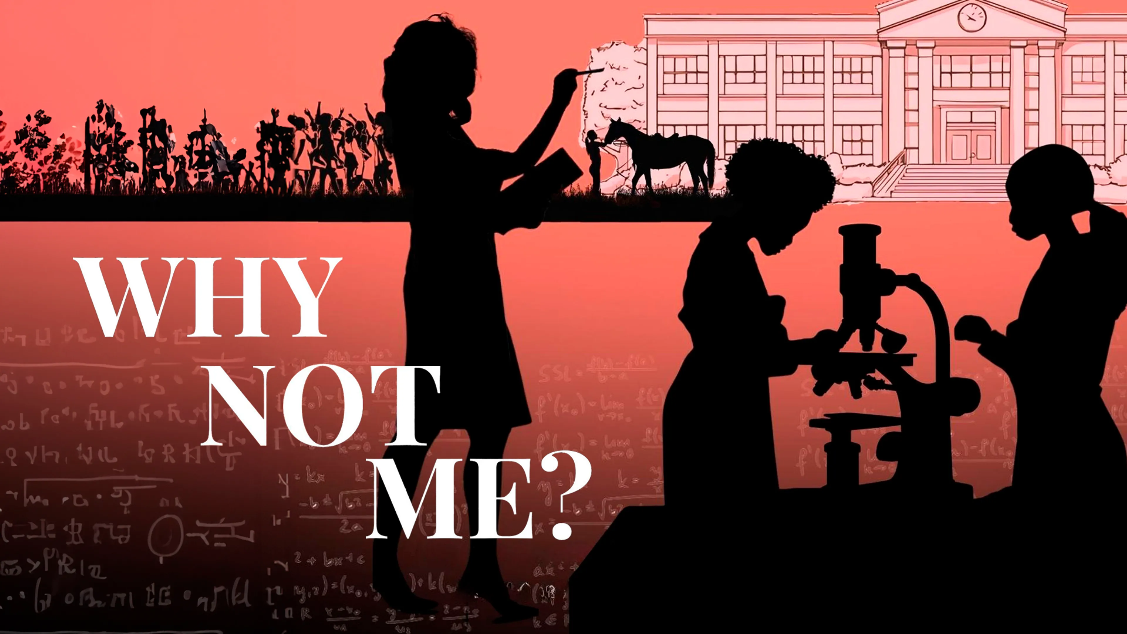 Why Not Me poster